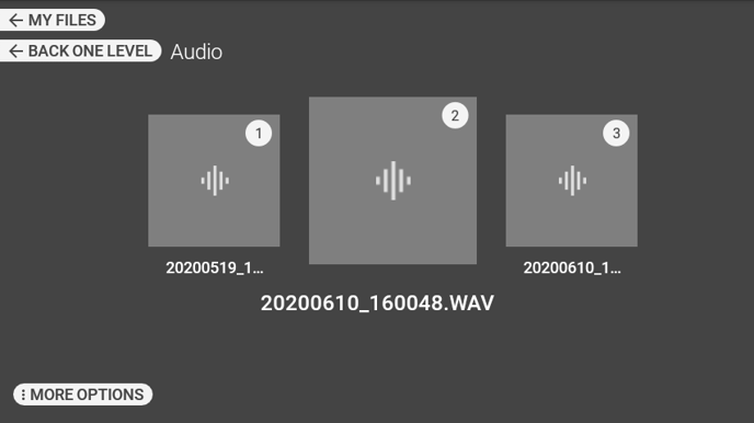 RealWear_Software_HMT_R11.1_Audio-Recorder_13