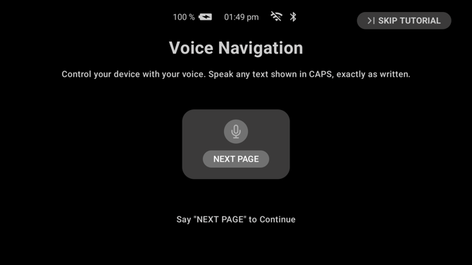 The Voice Navigation step, asking the user to say NEXT PAGE to continue